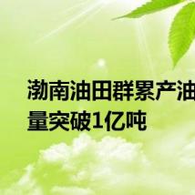 渤南油田群累产油气当量突破1亿吨