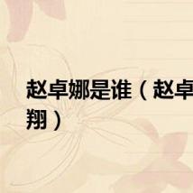 赵卓娜是谁（赵卓娜陈翔）