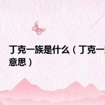 丁克一族是什么（丁克一族什么意思）