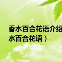 香水百合花语介绍（香水百合花语）