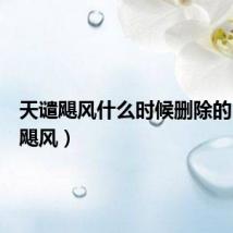天谴飓风什么时候删除的（天谴飓风）