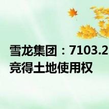雪龙集团:7103.25万元竞得土地使用权