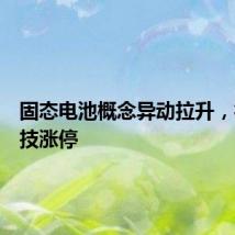 固态电池概念异动拉升，德福科技涨停