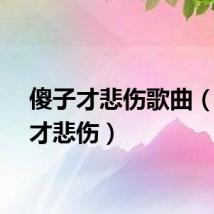 傻子才悲伤歌曲(傻子才悲伤)