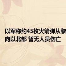 以军称约45枚火箭弹从黎南部射向以北部 暂无人员伤亡