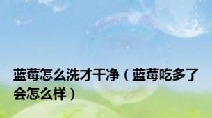 蓝莓怎么洗才干净（蓝莓吃多了会怎么样）
