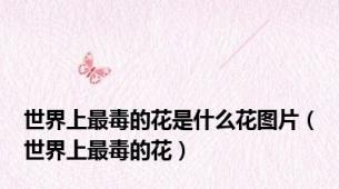 世界上最毒的花是什么花图片（世界上最毒的花）