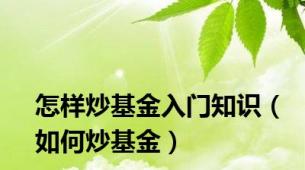 怎样炒基金入门知识（如何炒基金）