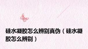 硅水凝胶怎么辨别真伪（硅水凝胶怎么辨别）