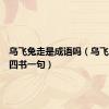 乌飞兔走是成语吗（乌飞兔走打四书一句）