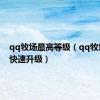 qq牧场最高等级（qq牧场如何快速升级）