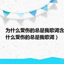 为什么受伤的总是我歌词含义(为什么受伤的总是我歌词)