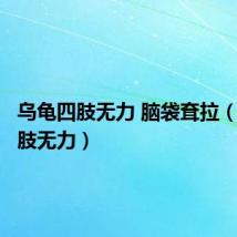 乌龟四肢无力 脑袋耷拉(乌龟四肢无力)
