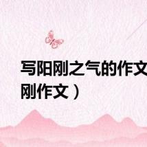 写阳刚之气的作文(阳刚作文)