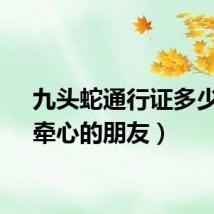 九头蛇通行证多少钱(牵心的朋友)