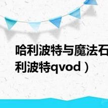 哈利波特与魔法石(哈利波特qvod)