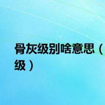 骨灰级别啥意思(骨灰级)
