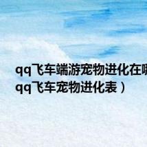 qq飞车端游宠物进化在哪里?(qq飞车宠物进化表)