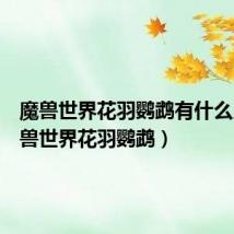 魔兽世界花羽鹦鹉有什么用(魔兽世界花羽鹦鹉)