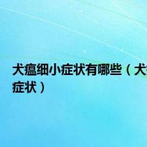 犬瘟细小症状有哪些(犬瘟细小症状)