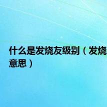 什么是发烧友级别(发烧友什么意思)