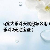 q宠大乐斗天赋丹怎么用(q宠大乐斗2天地宝鉴)