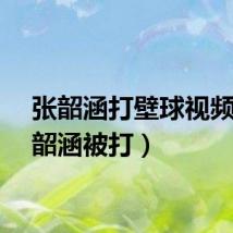 张韶涵打壁球视频(张韶涵被打)