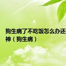 狗生病了不吃饭怎么办还吐没精神(狗生病)
