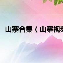 山寨合集（山寨视频）