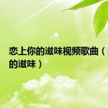 恋上你的滋味视频歌曲(恋上你的滋味)