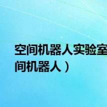 空间机器人实验室(空间机器人)