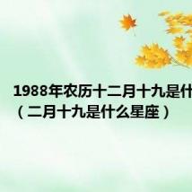 1988年农历十二月十九是什么星座(二月十九是什么星座)