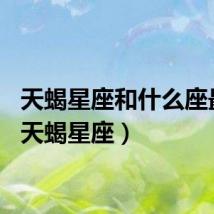 天蝎星座和什么座最配(天蝎星座)