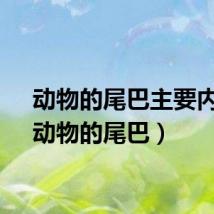 动物的尾巴主要内容(动物的尾巴)