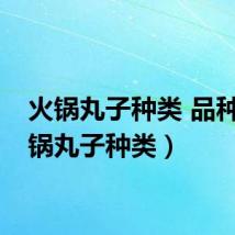 火锅丸子种类 品种(火锅丸子种类)