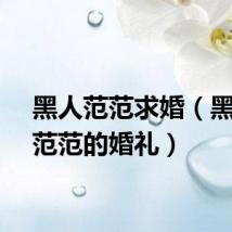 黑人范范求婚(黑人和范范的婚礼)