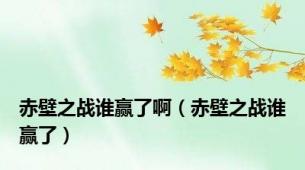 赤壁之战谁赢了啊（赤壁之战谁赢了）
