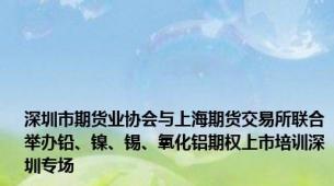 深圳市期货业协会与上海期货交易所联合举办铅、镍、锡、氧化铝期权上市培训深圳专场