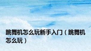 跳舞机怎么玩新手入门（跳舞机怎么玩）