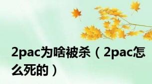 2pac为啥被杀（2pac怎么死的）