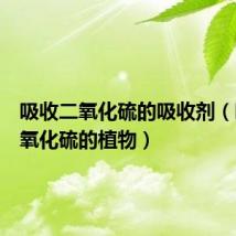 吸收二氧化硫的吸收剂(吸收二氧化硫的植物)