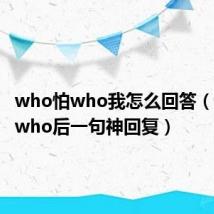 who怕who我怎么回答(who怕who后一句神回复)