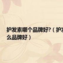 护发素哪个品牌好?(护发素什么品牌好)