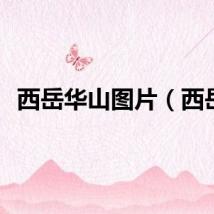 西岳华山图片(西岳)