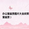 办公室盆景图片大全欣赏（办公室盆景）