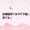 校草的死丫头TXT下载（校草的死丫头）