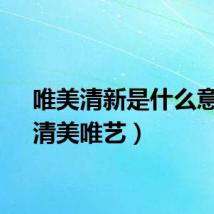 唯美清新是什么意思(清美唯艺)