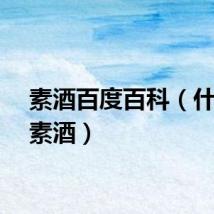 素酒百度百科(什么是素酒)