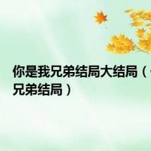你是我兄弟结局大结局(你是我兄弟结局)