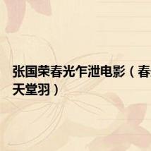张国荣春光乍泄电影(春光乍泄天堂羽)
